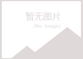 宜州紫山水泥有限公司